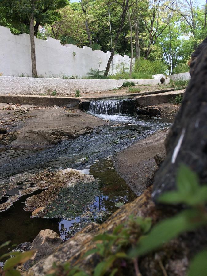Termas Da Sulfurea Bed & Breakfast Cabeco de Vide ภายนอก รูปภาพ